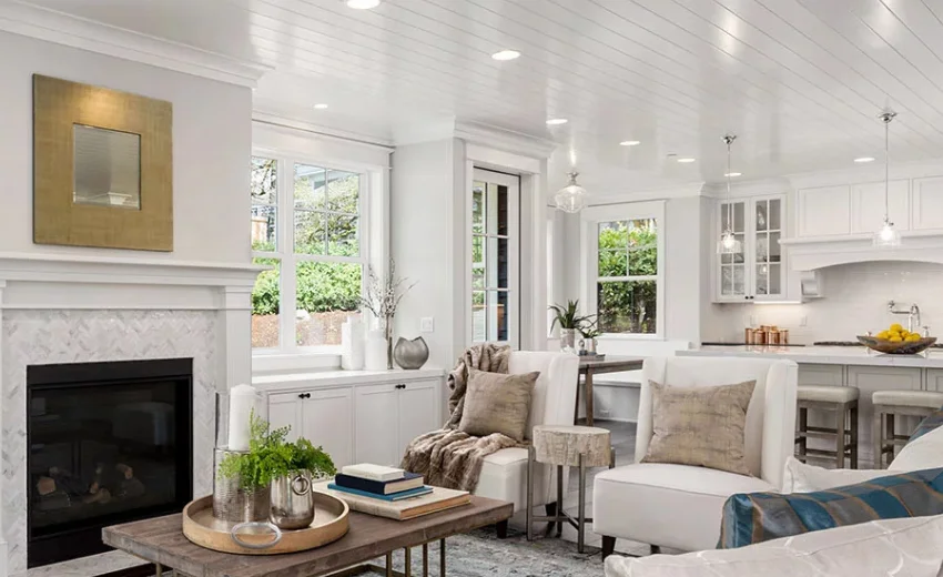 Elegant White Living Space Elegant White Living Space